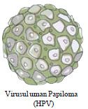 Reponsive image